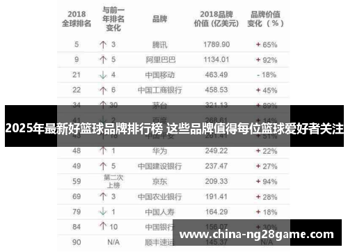 2025年最新好篮球品牌排行榜 这些品牌值得每位篮球爱好者关注