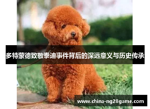 多特蒙德致敬泰迪事件背后的深远意义与历史传承