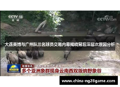 大连英博与广州队三名球员交易内幕揭晓背后深层次原因分析