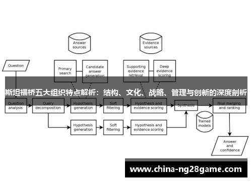 斯坦福桥五大组织特点解析：结构、文化、战略、管理与创新的深度剖析