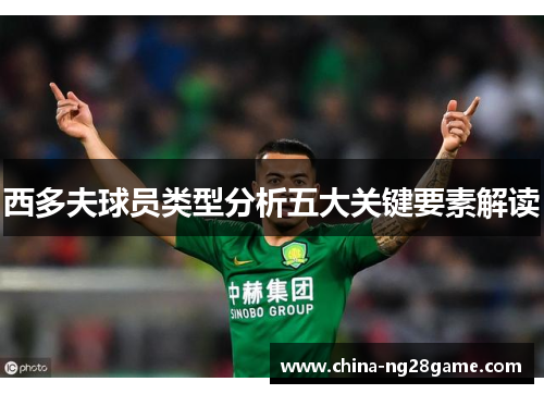 西多夫球员类型分析五大关键要素解读